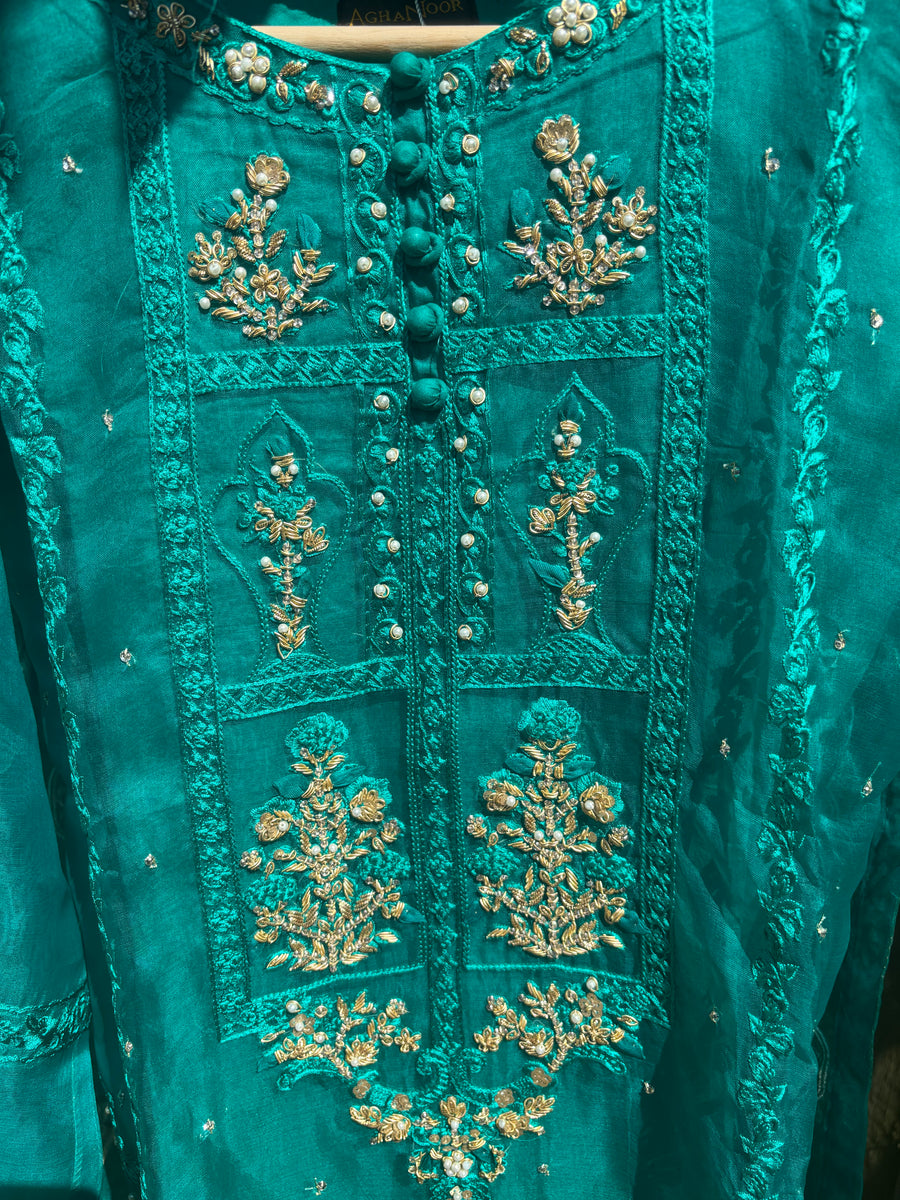 Agha Noor Organza 2 piece