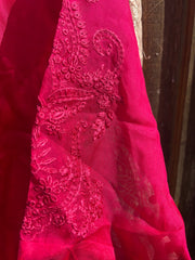 Aghanoor organza 2 piece