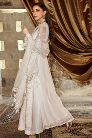 WC-03 ROISE