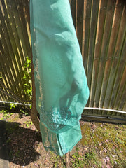 Agha Noor Organza 2 piece