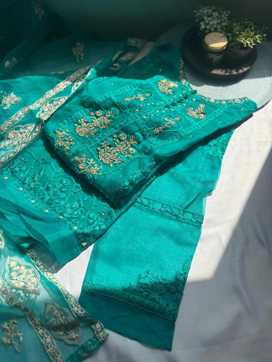 Agha Noor Organza 2 piece