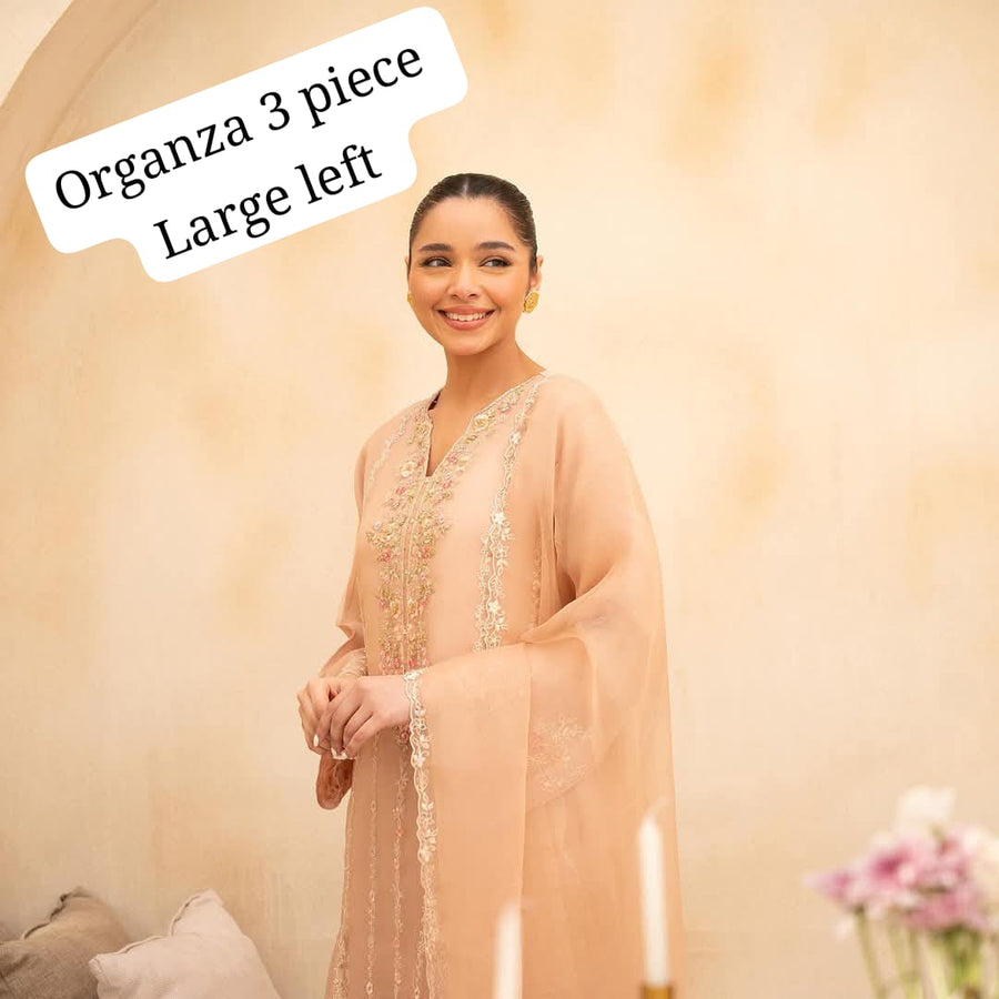 Aghanoor organza 3 piece outfit