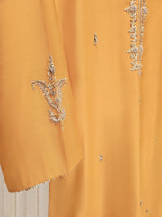 Aghanoor. 3 piece silk net outfit