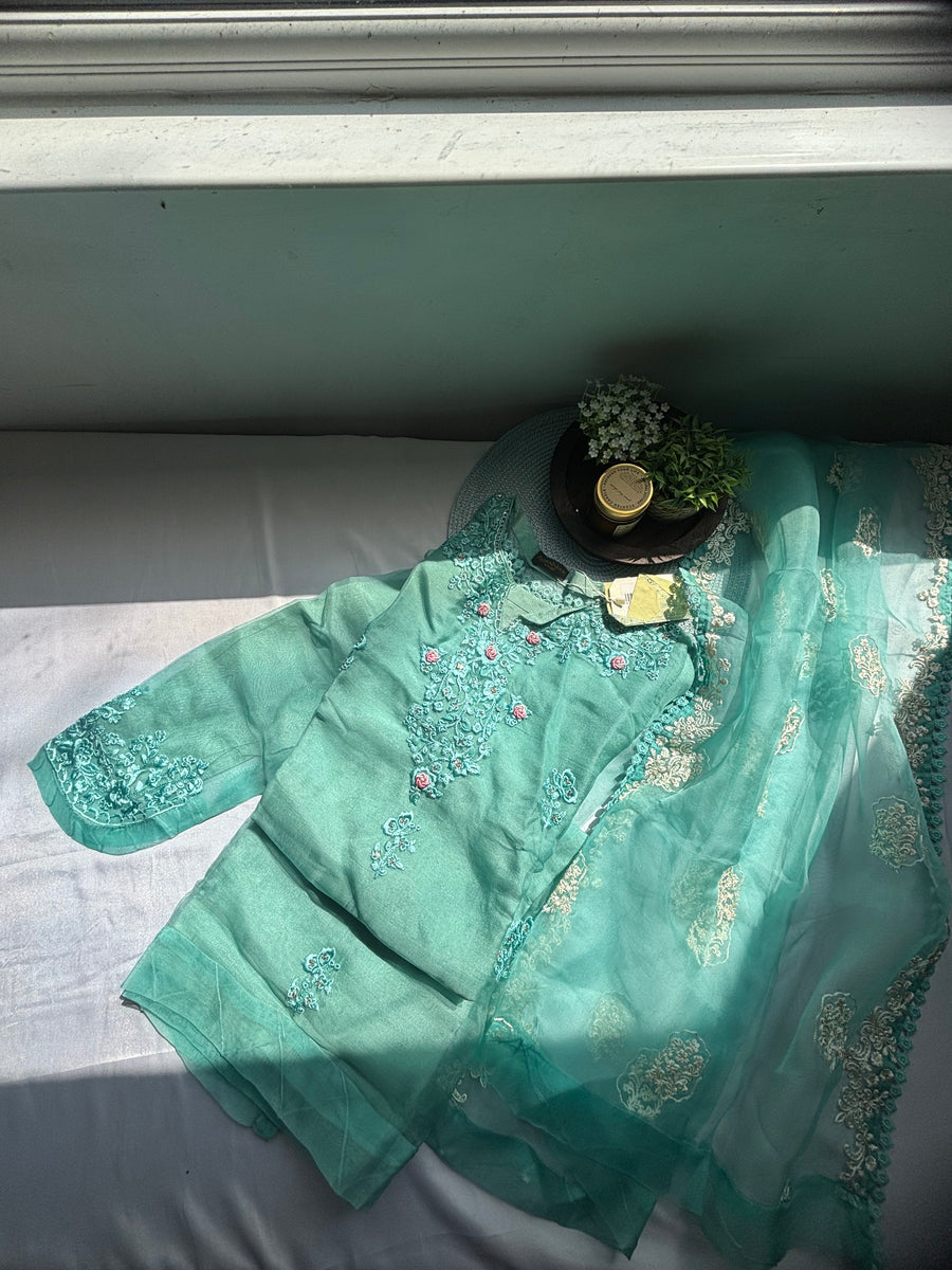 Agha Noor Organza 2 piece