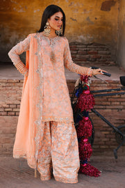 3-pc Unstitched Chiffon Collection VSL25-19